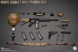 画像7: Easy & Simple 1/6 NSWDG アサルトライフル Assault Rifle Chronology (A-F) *予約