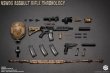 画像6: Easy & Simple 1/6 NSWDG アサルトライフル Assault Rifle Chronology (A-F) *予約