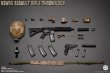 画像5: Easy & Simple 1/6 NSWDG アサルトライフル Assault Rifle Chronology (A-F) *予約