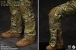 画像6: Easy & Simple 1/6 FSB ALPHA TEAM LEADER アクションフィギュア 26071R *予約　