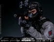 画像42: DAMTOYS 1/6 エクストリームゾーン PMC “ヴァイパーリディ・セラスティーズ” ラグナル・ソーン アクションフィギュア EBS004 *予約