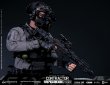 画像40: DAMTOYS 1/6 エクストリームゾーン PMC “ヴァイパーリディ・セラスティーズ” ラグナル・ソーン アクションフィギュア EBS004 *予約
