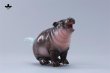 画像31: 【新作追加】JXK Studio コビトカバの赤ちゃん ムーデン *予約