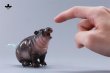 画像33: 【新作追加】JXK Studio コビトカバの赤ちゃん ムーデン *予約