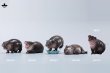 画像1: 【新作追加】JXK Studio コビトカバの赤ちゃん ムーデン *予約