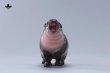 画像29: 【新作追加】JXK Studio コビトカバの赤ちゃん ムーデン *予約