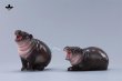 画像38: 【新作追加】JXK Studio コビトカバの赤ちゃん ムーデン *予約