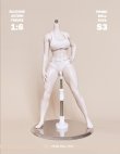 画像4: Prime Doll Toys 1/6 アーティキュレーテッド プラチナシリコン 女性素体 可動フィギュア ボディ S3シリーズ 【白肌 筋肉質】 3種 *予約 