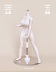 画像5: Prime Doll Toys 1/6 アーティキュレーテッド プラチナシリコン 女性素体 可動フィギュア ボディ S3シリーズ 【白肌 筋肉質】 3種 *予約 