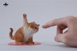 画像18: JxK Studio スーパーキャット 4種 JXK286 *予約