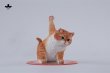 画像8: JxK Studio スーパーキャット 4種 JXK286 *予約