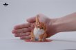 画像19: JxK Studio スーパーキャット 4種 JXK286 *予約
