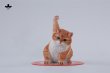 画像6: JxK Studio スーパーキャット 4種 JXK286 *予約