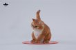 画像15: JxK Studio スーパーキャット 4種 JXK286 *予約