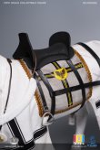 画像7: 【特典】101TOYS × PP STUDIO 1/6 中世チュートン騎士団 ウォーホース 戦馬 MA002 *予約