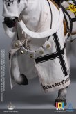 画像6: 【特典】101TOYS × PP STUDIO 1/6 中世チュートン騎士団 ウォーホース 戦馬 MA002 *予約