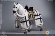 画像2: 【特典】101TOYS × PP STUDIO 1/6 中世チュートン騎士団 ウォーホース 戦馬 MA002 *予約