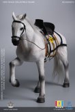 画像10: 【特典】101TOYS × PP STUDIO 1/6 中世チュートン騎士団 3体フルセット アクションフィギュア MA001D *予約