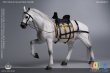 画像3: 【特典】101TOYS × PP STUDIO 1/6 中世チュートン騎士団 ウォーホース 戦馬 MA002 *予約