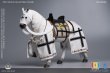 画像1: 【特典】101TOYS × PP STUDIO 1/6 中世チュートン騎士団 ウォーホース 戦馬 MA002 *予約