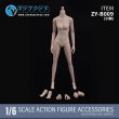 画像10: ZYTOYS 1/6 フィメール ボディ 2種 アクションフィギュア用 ZY-B008 ZY-B009 *予約
