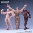 画像18: Romankey x COWL 1/12 超可動 ビッグガイ 男性素体 ボディアクションフィギュア 3種 UMS003 *予約