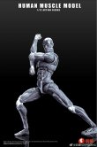 画像4: Human Muscle Model 1/12 スーパー ムーバブル マッスル マン アクションフィギュア 2種 HMM01R HMM01G *予約
