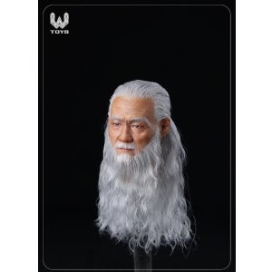 画像: W TOYS 1/6 ソード マスター リアルヘア 髭 ヘッド アクションフィギュア用 WT-005 *予約