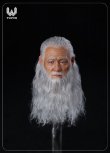 画像2: W TOYS 1/6 ソード マスター リアルヘア 髭 ヘッド アクションフィギュア用 WT-005 *予約