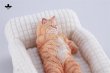 画像25: JXK Studio ぐーたら猫 with ソファ 5種 JXK293 *予約