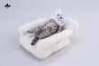 画像2: JXK Studio ぐーたら猫 with ソファ 5種 JXK293 *予約