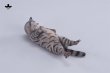 画像5: JXK Studio ぐーたら猫 with ソファ 5種 JXK293 *予約