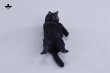 画像20: JXK Studio ぐーたら猫 with ソファ 5種 JXK293 *予約
