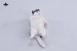 画像16: JXK Studio ぐーたら猫 with ソファ 5種 JXK293 *予約