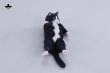 画像12: JXK Studio ぐーたら猫 with ソファ 5種 JXK293 *予約