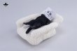 画像18: JXK Studio ぐーたら猫 with ソファ 5種 JXK293 *予約