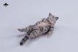 画像3: JXK Studio ぐーたら猫 with ソファ 5種 JXK293 *予約