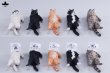 画像1: JXK Studio ぐーたら猫 with ソファ 5種 JXK293 *予約