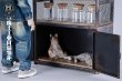 画像9: MMMTOYS 1/6 ウェイストランド インダストリアル ストレージ ロッカー M2507 *予約