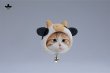 画像3: JXK & small 牛さんの帽子をかぶった猫ちゃん マグネット 磁石 JS2503 *予約