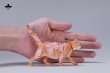 画像15: JxK Studio チェリーブロッサム キャット 4種 JXK299 *予約