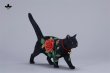 画像11: JxK Studio ローズ キャット 4種 JXK298 *予約
