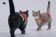 画像17: JxK Studio ローズ キャット 4種 JXK298 *予約