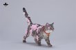 画像5: JxK Studio チェリーブロッサム キャット 4種 JXK299 *予約