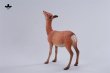 画像9: JxK Studio 1/6 奈良の鹿 常夜燈  JXK297AB *予約