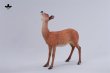 画像7: JxK Studio 1/6 奈良の鹿 常夜燈  JXK297AB *予約