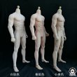 画像2: OCTPLY 1/6 男性 シームレスボディ アクションフィギュア用 3色 OM001 *予約