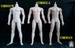 画像3: OCTPLY 1/6 男性 シームレスボディ アクションフィギュア用 3色 OM001 *予約