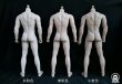 画像4: OCTPLY 1/6 男性 シームレスボディ アクションフィギュア用 3色 OM001 *予約