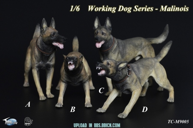 PREORDER Dog: Toys City Working Dog Series - German Shepherd (TC-M9007)